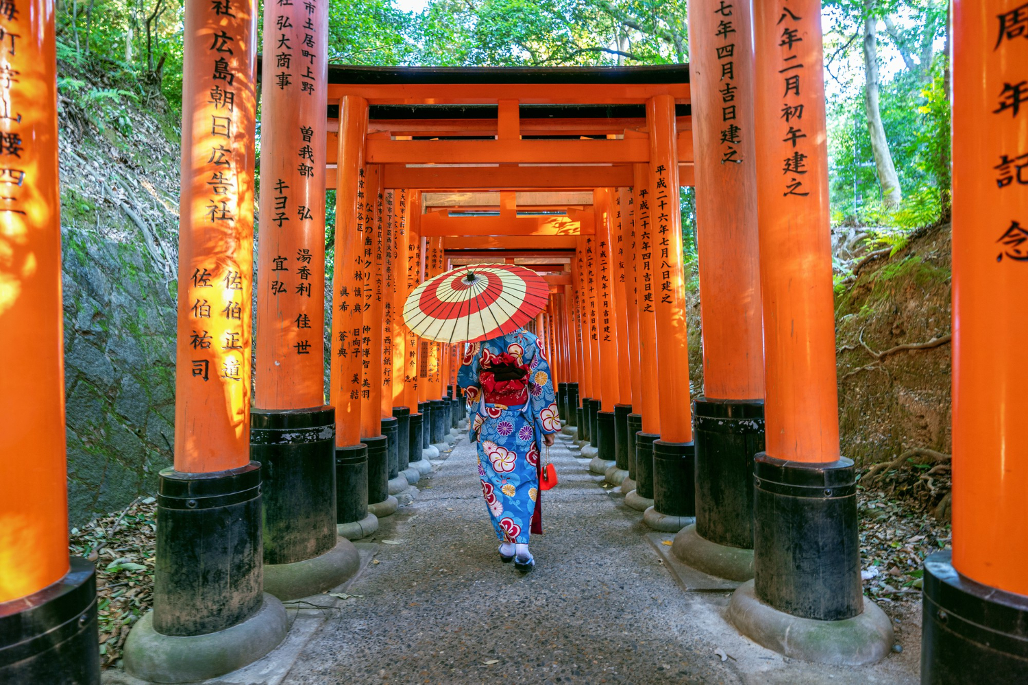 Read more about the article Unveiling the Art of Japan Travel Photography